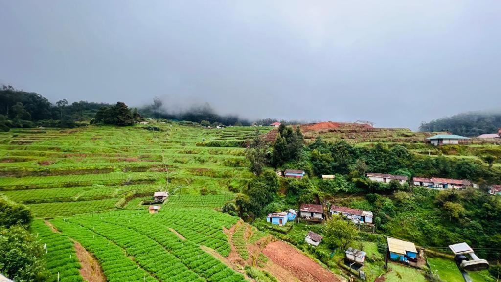 Mountain View Cottage Udagamandalam Exterior foto